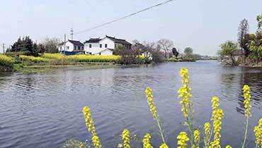 城市网管雨污分流